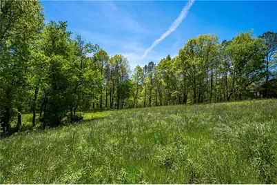 Lt4-4A Jonica Gap Road, Mineral Bluff, GA 30559 - Photo 6