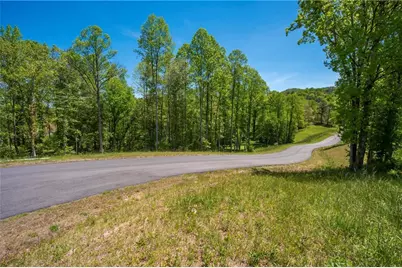 Lt4-4A Jonica Gap Road, Mineral Bluff, GA 30559 - Photo 4