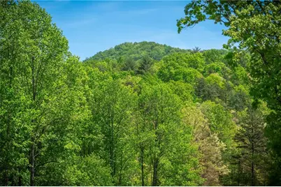 Lt4-4A Jonica Gap Road, Mineral Bluff, GA 30559 - Photo 1