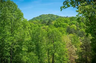 Lt4-4A Jonica Gap Rd, Mineral Bluff, GA 30559 - Photo 1