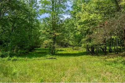 Lt5-5A Jonica Gap Road, Mineral Bluff, GA 30559 - Photo 10
