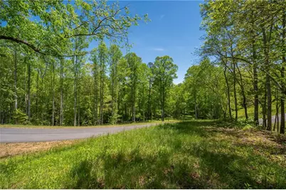 Lt5-5A Jonica Gap Road, Mineral Bluff, GA 30559 - Photo 16