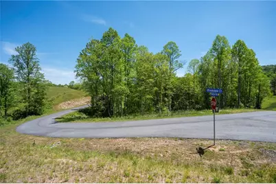 Lot 15 Jonica Gap Road, Mineral Bluff, GA 30559 - Photo 4