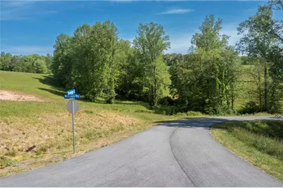 Lot 15 Jonica Gap Road, Mineral Bluff, GA 30559 - Photo 6