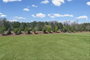 252 Nesta Grove Dr, Locust Grove, GA 30248 - Photo 26