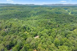 92 Bamby Ln, Ellijay, GA 30540 - Photo 66
