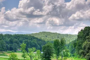 246 Bearden Farm Overlook, Blue Ridge, GA 30513 - Photo 64