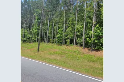 00 Bohannon Road, Grantville, GA 30220 - Photo 2