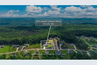 203 Linger Longer Drive, Ellijay, GA 30540 - Photo 8