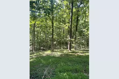988 Rocktree Road, Dahlonega, GA 30533 - Photo 50