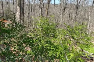 988 Rocktree Rd, Dahlonega, GA 30533 - Photo 48