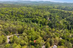 80 Stegall Mill Ridge, Ellijay, GA 30536 - Photo 46