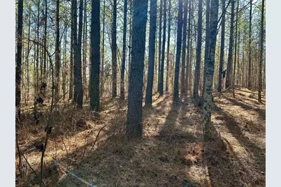 [Address not provided], Dahlonega, GA 30533 - Photo 6