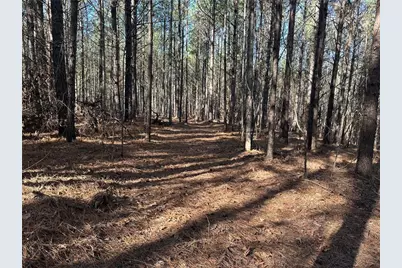 [Address not provided], Dahlonega, GA 30533 - Photo 8