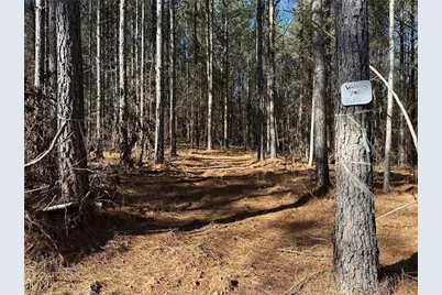 [Address not provided], Dahlonega, GA 30533 - Photo 4