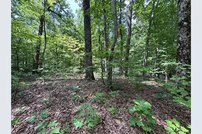 165 St Andrews Way, Ellijay, GA 30143 - Photo 6
