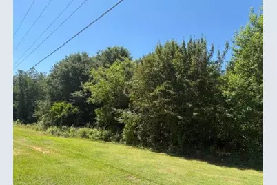 7059 Hwy 81 - Tract 2, Monroe, GA 30656 - Photo 4
