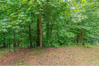 731 Jim Anderson Road, Dahlonega, GA 30533 - Photo 44