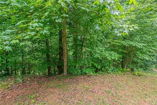 731 Jim Anderson Rd, Dahlonega, GA 30533 - Photo 44