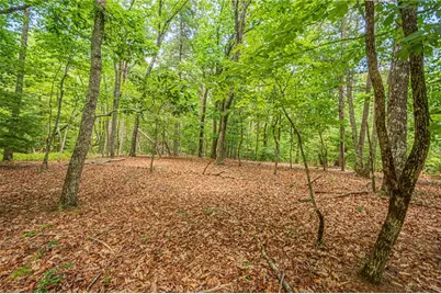 731 Jim Anderson Road, Dahlonega, GA 30533 - Photo 54