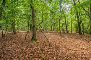 731 Jim Anderson Rd, Dahlonega, GA 30533 - Photo 52