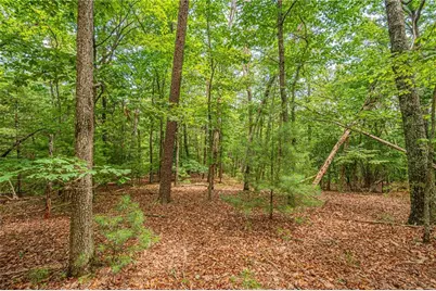 731 Jim Anderson Road, Dahlonega, GA 30533 - Photo 50