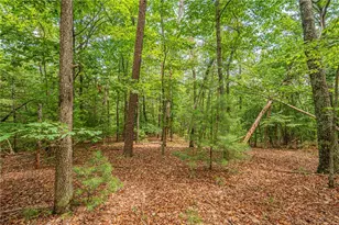 731 Jim Anderson Rd, Dahlonega, GA 30533 - Photo 50