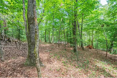731 Jim Anderson Road, Dahlonega, GA 30533 - Photo 58
