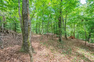 731 Jim Anderson Rd, Dahlonega, GA 30533 - Photo 58