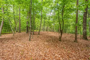 731 Jim Anderson Rd, Dahlonega, GA 30533 - Photo 56