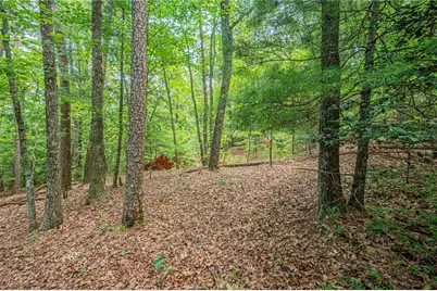 731 Jim Anderson Road, Dahlonega, GA 30533 - Photo 48