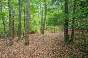 731 Jim Anderson Rd, Dahlonega, GA 30533 - Photo 48