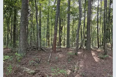 Lot 1 Wildcat Rd, Buchanan, GA 30113 - Photo 20