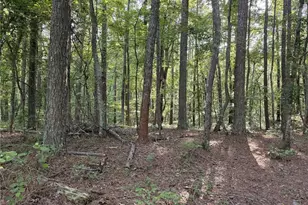 Lot 1 Wildcat Rd, Buchanan, GA 30113 - Photo 20