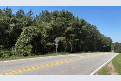 7057 Hwy 81 - Tract 8, Monroe, GA 30656 - Photo 4