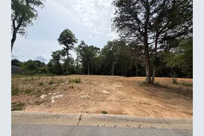 0 Ronnie Road, Cedartown, GA 30125 - Photo 2