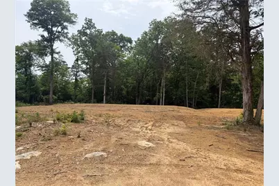 0 Ronnie Road, Cedartown, GA 30125 - Photo 4