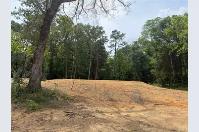 0 Ronnie Road, Cedartown, GA 30125 - Photo 6