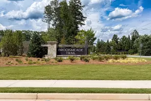 7165 Cornflower Ct, Cumming, GA 30040 - Photo 66