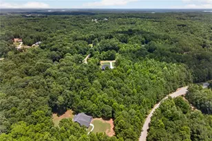 187 Trilium Trl, Pendergrass, GA 30567 - Photo 56