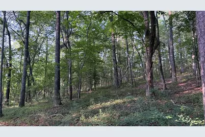 0 Highway 136 W, Talking Rock, GA 30175 - Photo 6