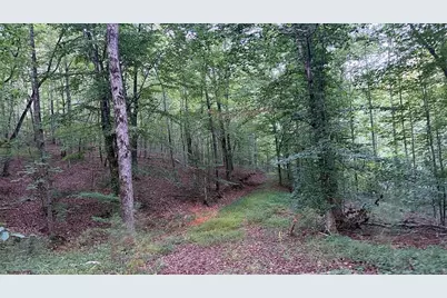 0 Highway 136 W, Talking Rock, GA 30175 - Photo 12