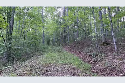 0 Highway 136 W, Talking Rock, GA 30175 - Photo 14