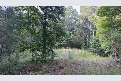 0 Highway 136 W, Talking Rock, GA 30175 - Photo 16