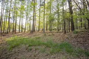 4450 Bay Creek Rd, Loganville, GA 30052 - Photo 40