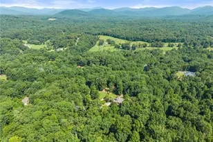 1401 Adair Mill Rd, Cleveland, GA 30528 - Photo 64