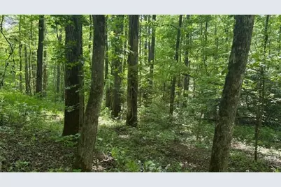 01 Highway 136 West, Talking Rock, GA 30175 - Photo 10