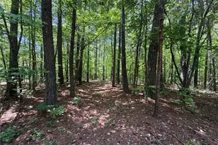 1933 N Hwy 101, Dallas, GA 30157 - Photo 36