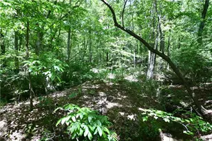 1933 N Hwy 101, Dallas, GA 30157 - Photo 36