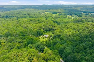 3561 Yonah Homer Rd, Alto, GA 30510 - Photo 36